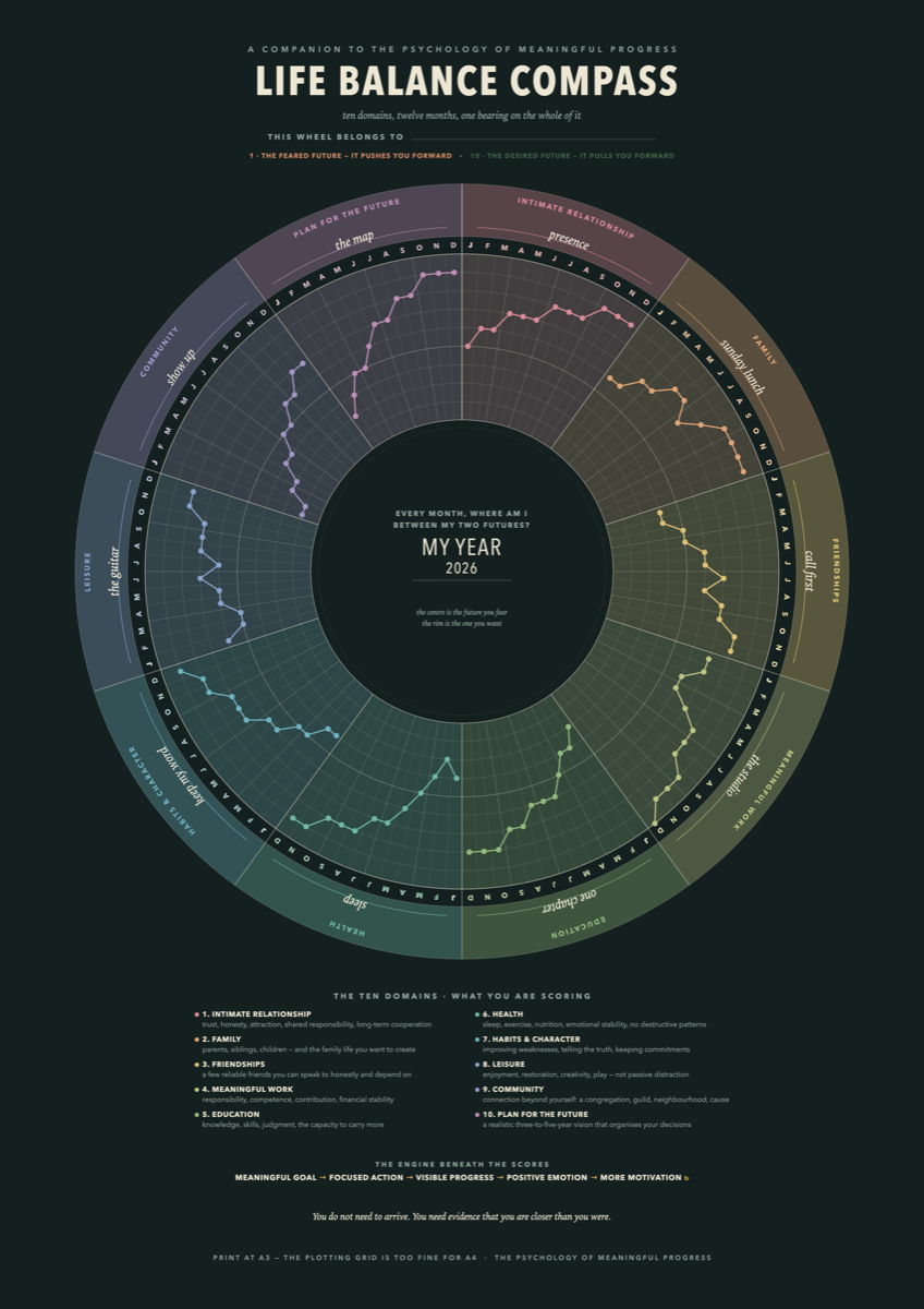 A completed Life Balance Compass — twelve months plotted across ten domains